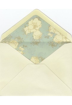BOX234